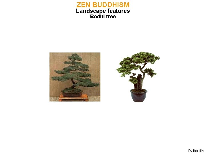 ZEN BUDDHISM Landscape features Bodhi tree D. Hardin 