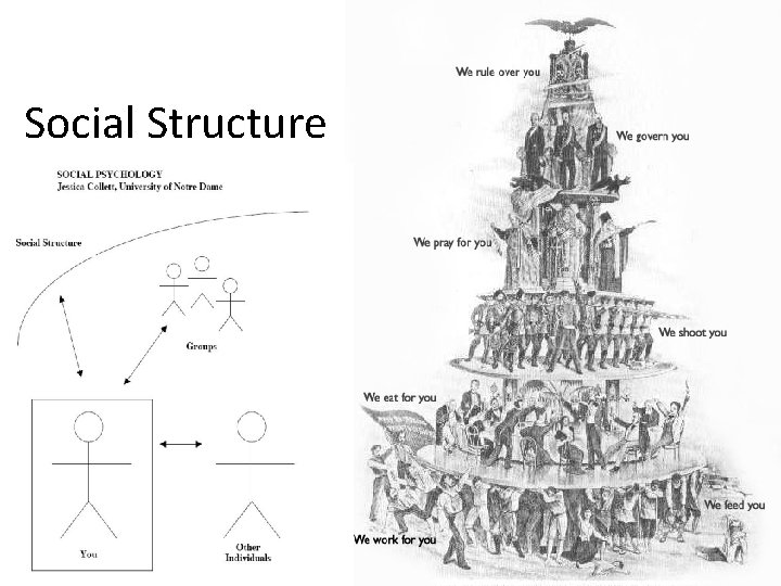 Social Structure 