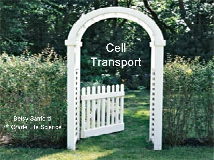 Cell Transport Betsy Sanford 7 th Grade Life Science 