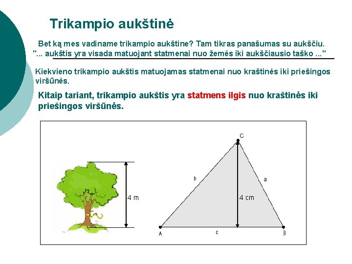 Trikampio aukštinė Bet ką mes vadiname trikampio aukštine? Tam tikras panašumas su aukščiu. ".