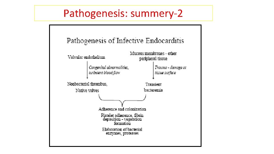 Pathogenesis: summery-2 