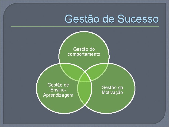 Gestão de Sucesso Gestão do comportamento Gestão de Ensino. Aprendizagem Gestão da Motivação 