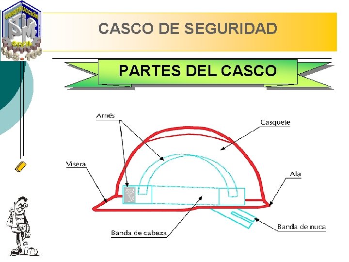 CASCO DE SEGURIDAD PARTES DEL CASCO 