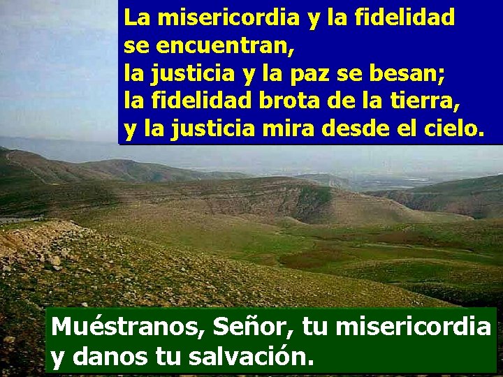 La misericordia y la fidelidad se encuentran, la justicia y la paz se besan;