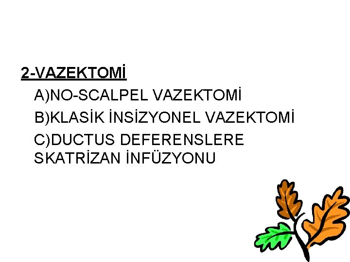 2 -VAZEKTOMİ A)NO-SCALPEL VAZEKTOMİ B)KLASİK İNSİZYONEL VAZEKTOMİ C)DUCTUS DEFERENSLERE SKATRİZAN İNFÜZYONU 