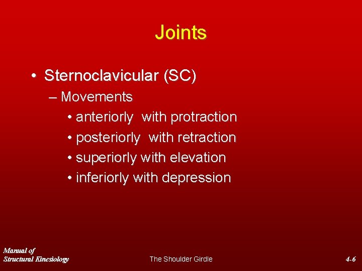 Joints • Sternoclavicular (SC) – Movements • anteriorly with protraction • posteriorly with retraction