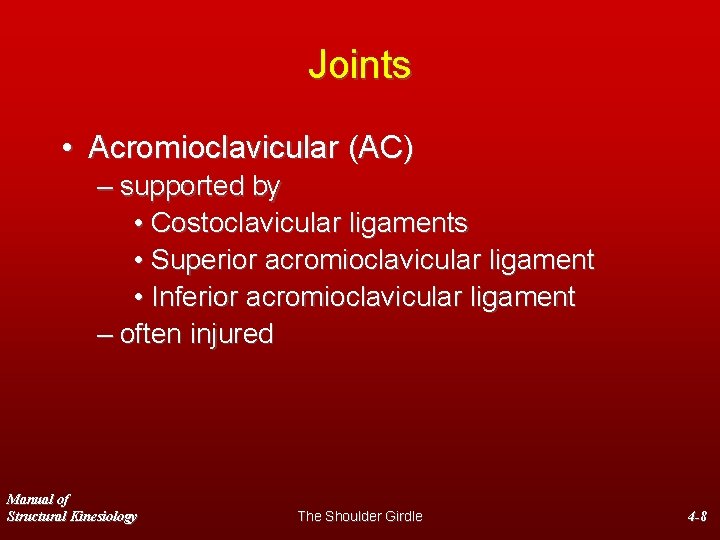 Joints • Acromioclavicular (AC) – supported by • Costoclavicular ligaments • Superior acromioclavicular ligament