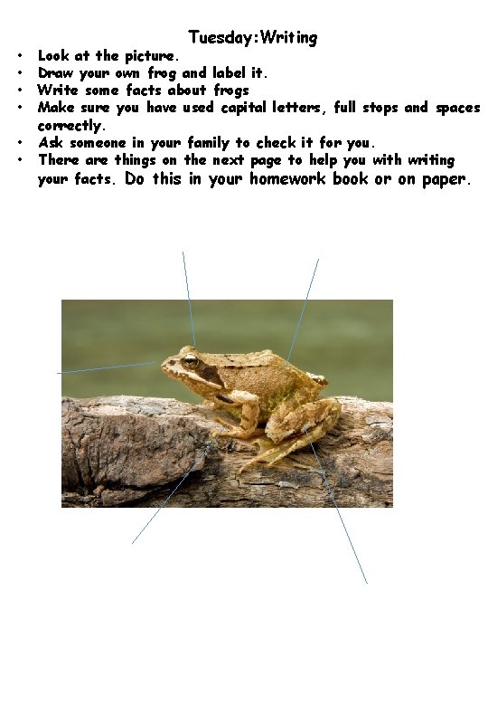  • • • Tuesday: Writing Look at the picture. Draw your own frog