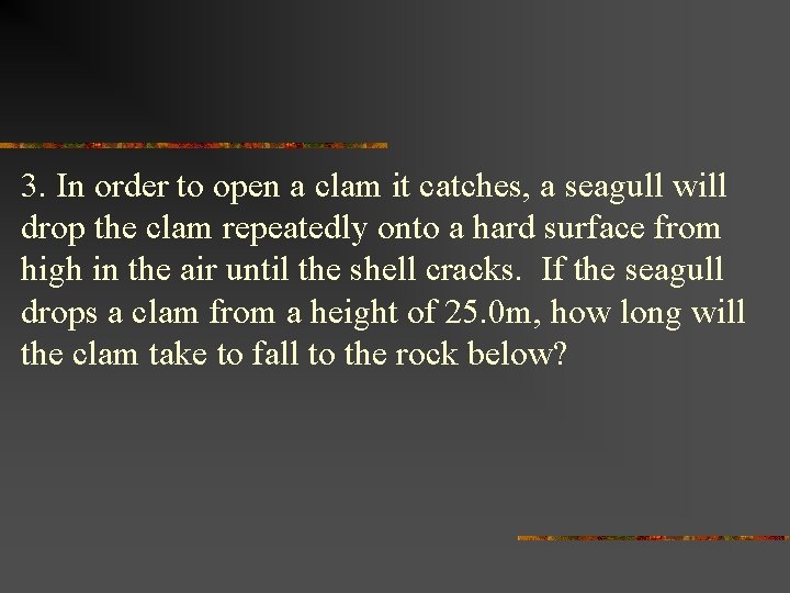 3. In order to open a clam it catches, a seagull will drop the