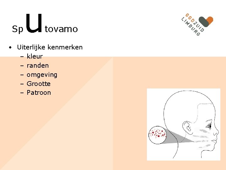 Sp u tovamo • Uiterlijke kenmerken – kleur – randen – omgeving – Grootte