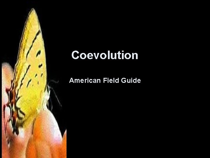 Coevolution American Field Guide 