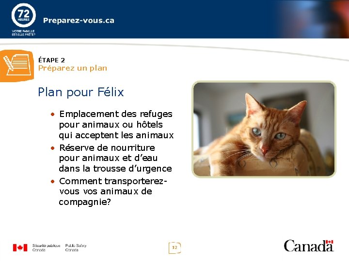ÉTAPE 2 Préparez un plan Plan pour Félix • Emplacement des refuges pour animaux