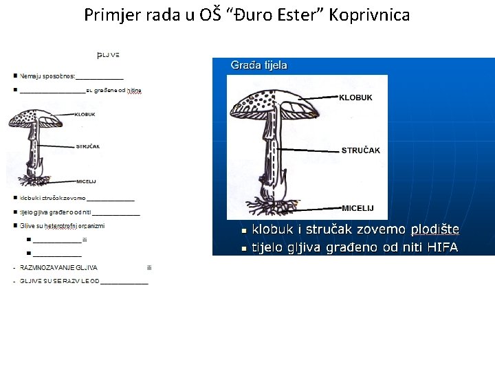 Primjer rada u OŠ “Đuro Ester” Koprivnica 