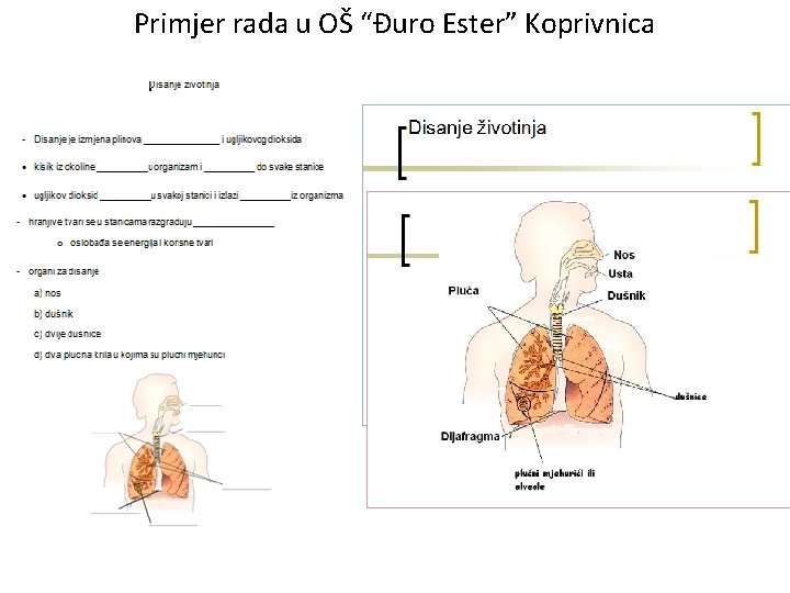 Primjer rada u OŠ “Đuro Ester” Koprivnica 