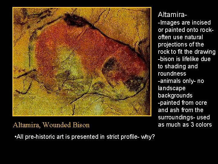 Altamira- Altamira, Wounded Bison • All pre-historic art is presented in strict profile- why?