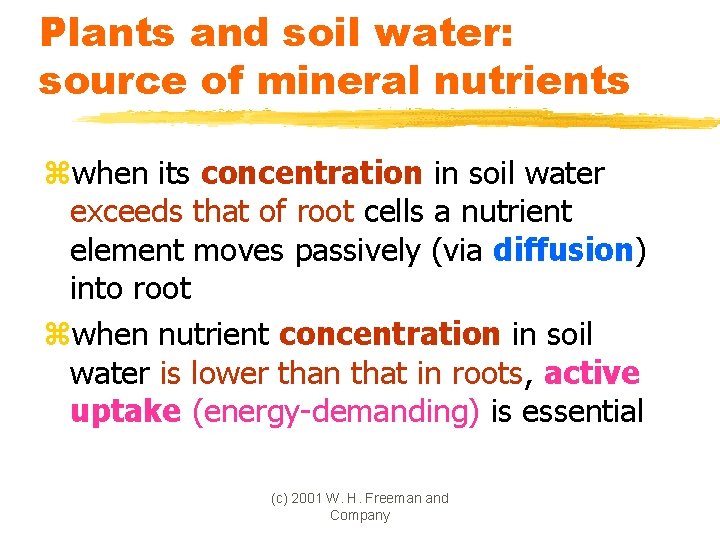 Plants and soil water: source of mineral nutrients zwhen its concentration in soil water