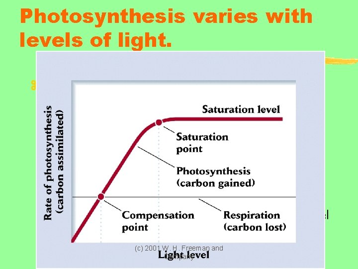 Photosynthesis varies with levels of light. z Photosynthetic rate is a function of light