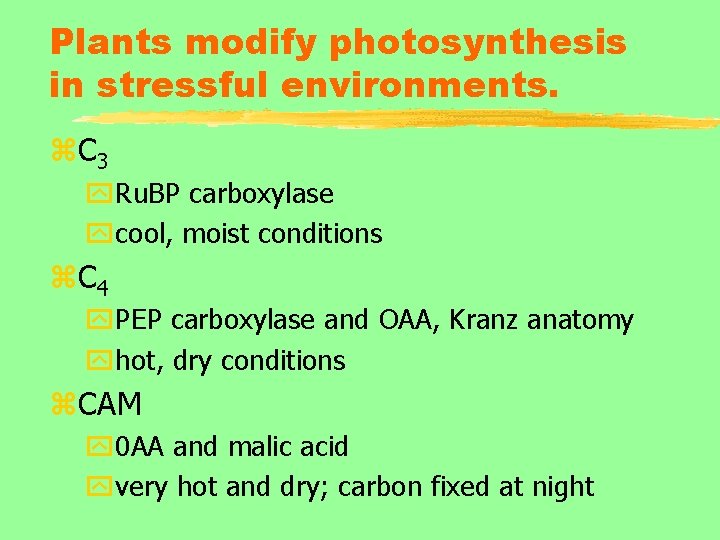 Plants modify photosynthesis in stressful environments. z. C 3 y. Ru. BP carboxylase ycool,