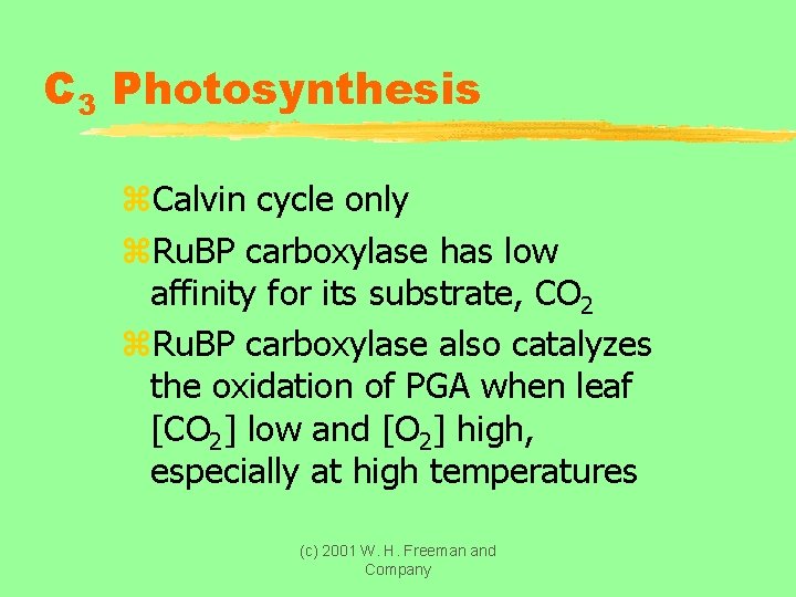 C 3 Photosynthesis z. Calvin cycle only z. Ru. BP carboxylase has low affinity