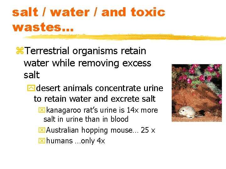 salt / water / and toxic wastes. . . z. Terrestrial organisms retain water