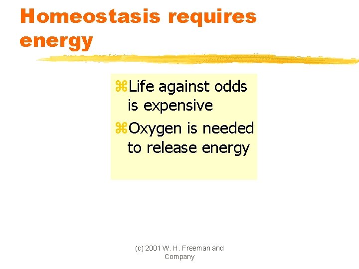 Homeostasis requires energy z. Life against odds is expensive z. Oxygen is needed to