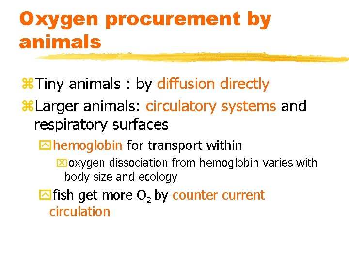 Oxygen procurement by animals z. Tiny animals : by diffusion directly z. Larger animals: