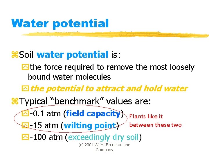 Water potential z. Soil water potential is: ythe force required to remove the most