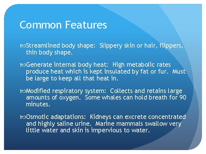 Common Features Streamlined body shape: Slippery skin or hair, flippers, thin body shape. Generate