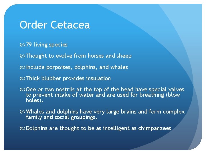 Order Cetacea 79 living species Thought to evolve from horses and sheep Include porpoises,