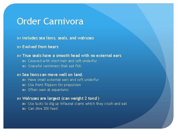 Order Carnivora Includes sea lions, seals, and walruses Evolved from bears True seals have