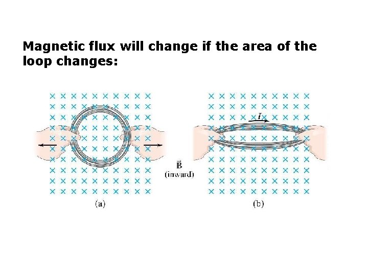 Magnetic flux will change if the area of the loop changes: 