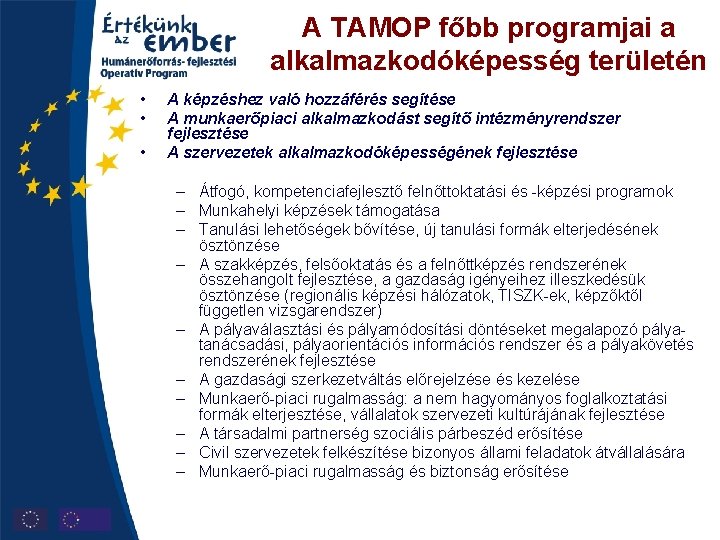 A TAMOP főbb programjai a alkalmazkodóképesség területén • • • A képzéshez való hozzáférés