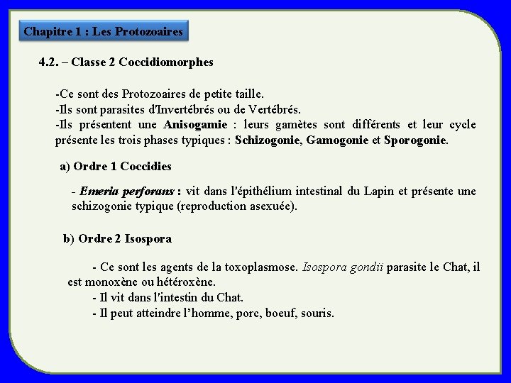 Chapitre 1 : Les Protozoaires 4. 2. – Classe 2 Coccidiomorphes -Ce sont des Chapitre 1 : Les Protozoaires 4. 2. – Classe 2 Coccidiomorphes -Ce sont des