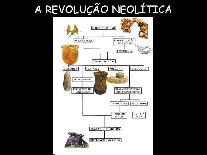 A REVOLUÇÃO NEOLÍTICA 