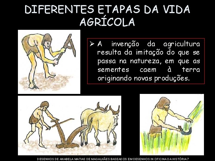 DIFERENTES ETAPAS DA VIDA AGRÍCOLA Ø A invenção da agricultura resulta da imitação do