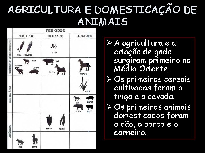 AGRICULTURA E DOMESTICAÇÃO DE ANIMAIS Ø A agricultura e a criação de gado surgiram