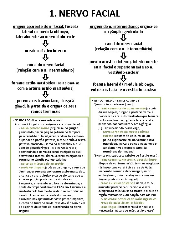 1. NERVO FACIAL origem aparente do n. facial: fosseta lateral da medula oblonga, lateralmente
