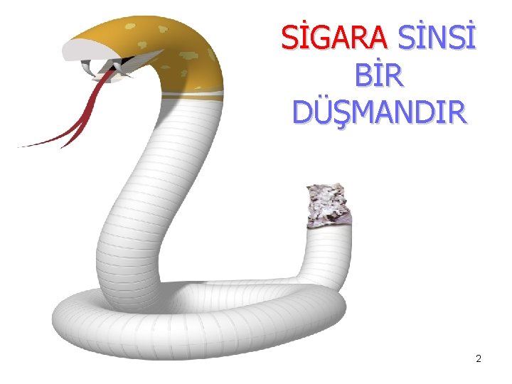 SİGARA SİNSİ BİR DÜŞMANDIR 2 