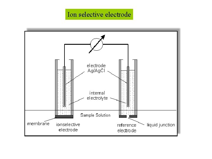 Ion selective electrode 