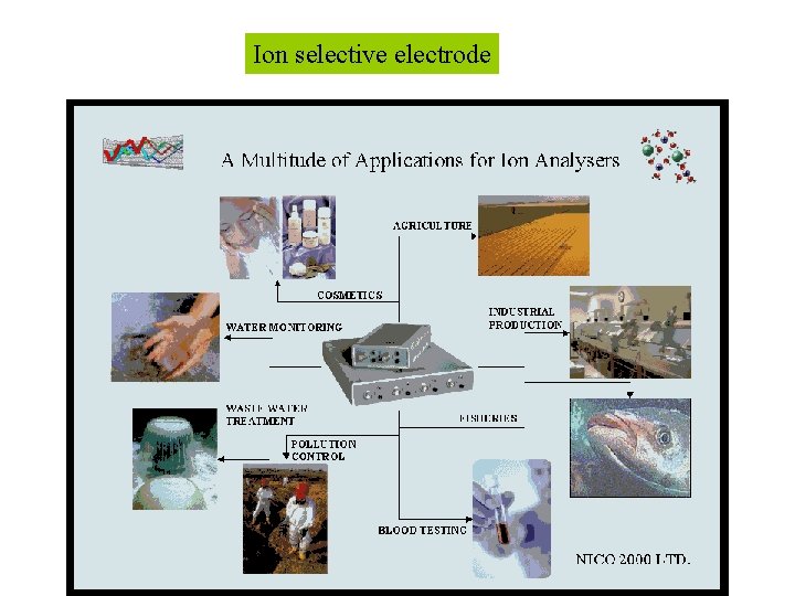 Ion selective electrode 