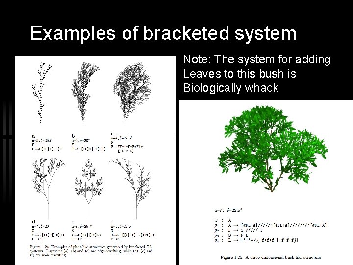 Examples of bracketed system Note: The system for adding Leaves to this bush is