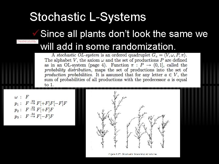 Stochastic L-Systems ü Since all plants don’t look the same we will add in