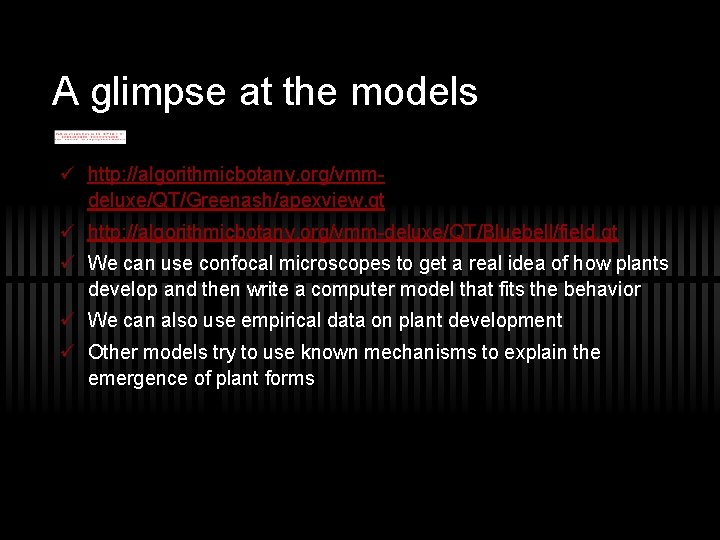 A glimpse at the models ü http: //algorithmicbotany. org/vmmdeluxe/QT/Greenash/apexview. qt ü http: //algorithmicbotany. org/vmm-deluxe/QT/Bluebell/field.