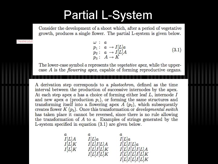 Partial L-System 