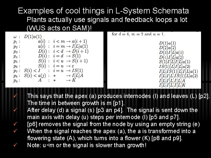 Examples of cool things in L-System Schemata Plants actually use signals and feedback loops