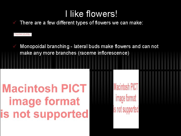 I like flowers! ü There a few different types of flowers we can make:
