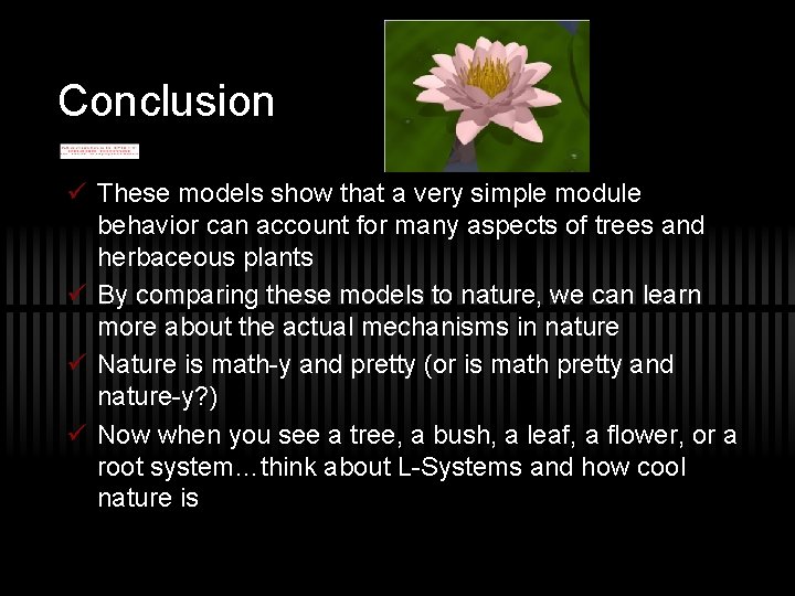 Conclusion ü These models show that a very simple module behavior can account for