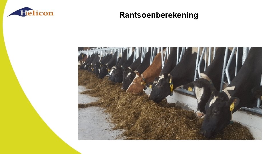 Rantsoenberekening 