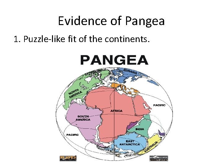 Evidence of Pangea 1. Puzzle-like fit of the continents. 