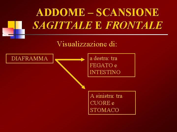 ADDOME – SCANSIONE SAGITTALE E FRONTALE Visualizzazione di: DIAFRAMMA a destra: tra FEGATO e